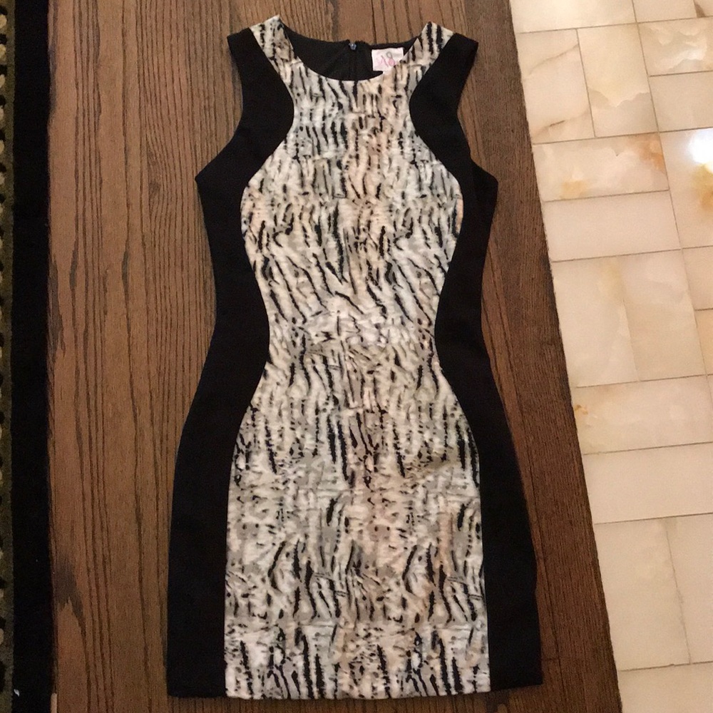 Parker Dress - Picture 1 of 1